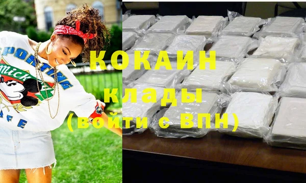 mix Богородицк
