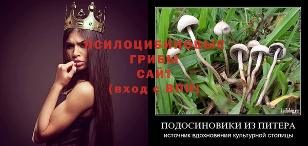 mix Богородицк