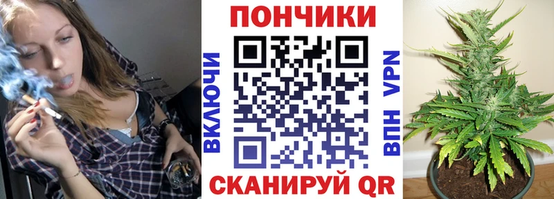 Шишки марихуана конопля  Калининец 